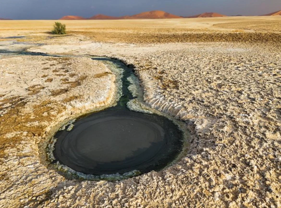 Empty Quarter Safari